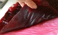 طرزه تهیه لواشک آلو