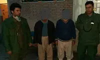 دستگیری عوامل کشتار خرس قهوه‌ای در ارومیه