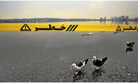 تمساح؟ دریاچه چیتگر؟ حتما شوخی می‌کنید