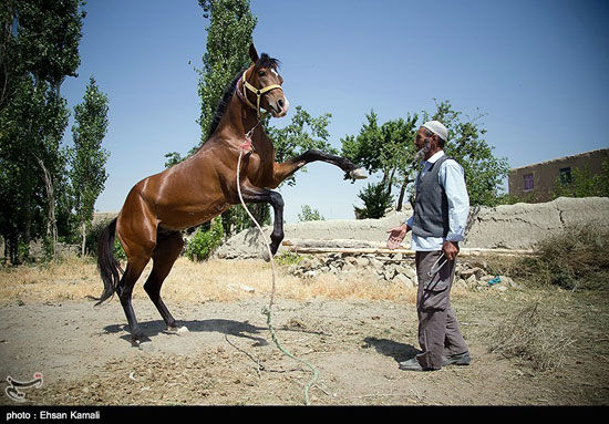 گزارش تصویری: ده روز برای «هُما»