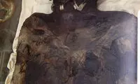 غول دو سر کاپ داوا؛ سندی برای وجود غول‌ها در زمین!