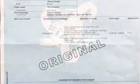 توضیح گمرک درباره واردات اخیر محموله پوشاک