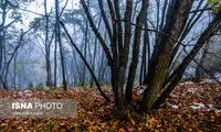 طبیعت پاییزی جنگل های ارسباران
