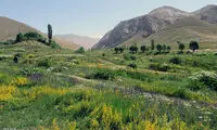 تصاویری از مقصد تفریحی تنگه واشی