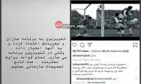 علی ضیا از عادل حمایت و بعد عقب‌نشینی کرد