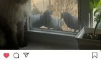 عذرخواهی شقایق دهقان بابت گربه آزاری برادرش