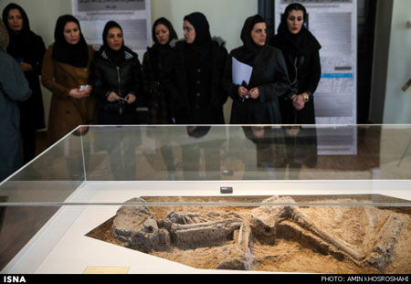 زن 7 هزار ساله تهران در موزه ملی ماند