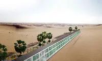 عربستان قطب کشاورزی می‌شود! +عکس