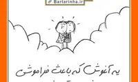 شادی یعنی... (20)