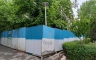 اولین واکنش به اعدام درختان در پارک لاله تهران
