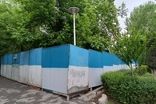 اولین واکنش به اعدام درختان در پارک لاله تهران