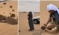 دوستی باورنکردنی مرد عرب با یک گرگ