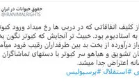 اعتراض انجمن حمایت از حیوانات به دربی‌باز‌ها