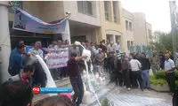 عکس: اعتراض دامداران به واردات دام