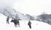 ترکیه نماینده اسکارش را معرفی کرد