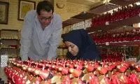 کارگران این کارخانه ناشنوا هستند +عکس
