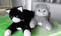 اسباب‎بازی مخصوص درمان آلزایمر +عکس