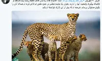 عذرخواهی صادقی از خانواده فعالان محیط زیست