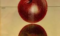 تصویری از نقاشی ۳۰سال پیش رضا کیانیان