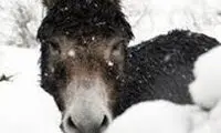 شوخی‌های جالب شبکه‌های اجتماعی (۴۸۶)