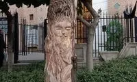 قطع درخت ارزشمند به خاطر نقش یک زن روی آن!