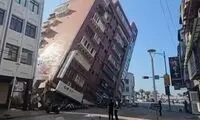 رفتار عحیب گربه‌ها قبل از وقوع زمین لرزه تایوان