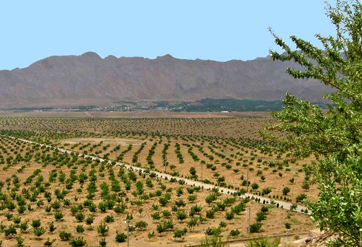   این منطقه ایران بر اثر سرما کاملا یخ زد 